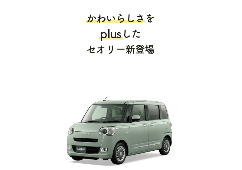 かわいらしさをplusしたセオリー新登場
